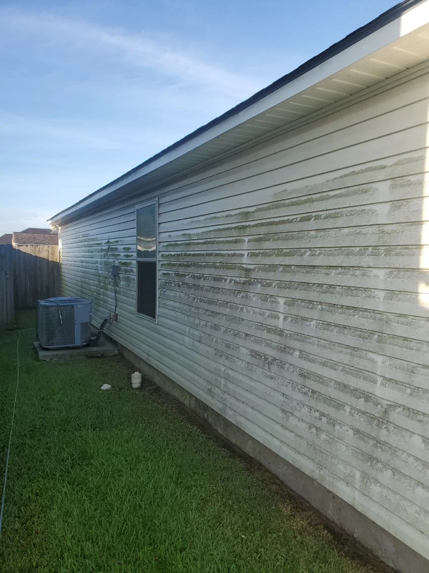 Algae buildup on siding behind an air-conditioning unit before washing