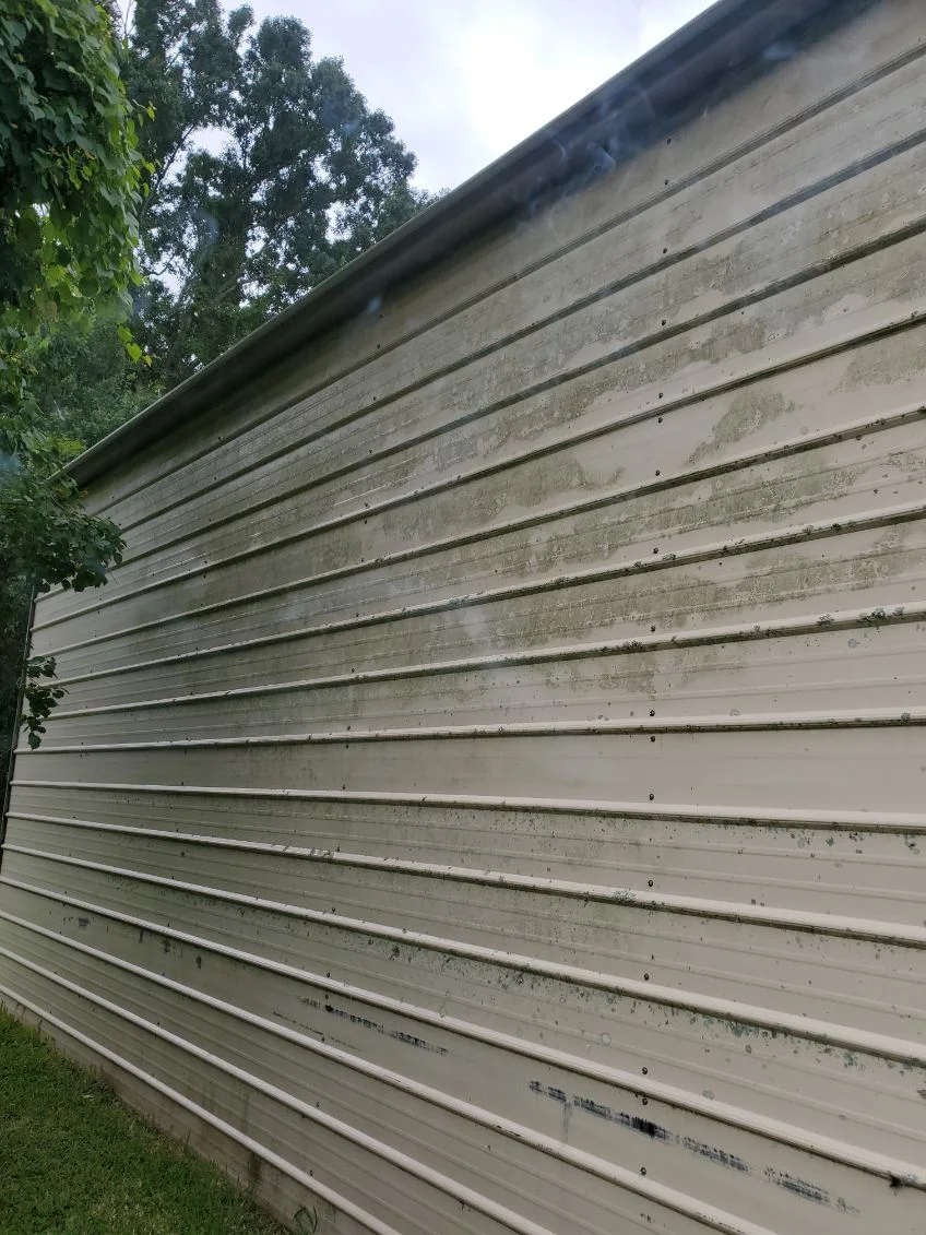 Algae and weathering on siding before washing